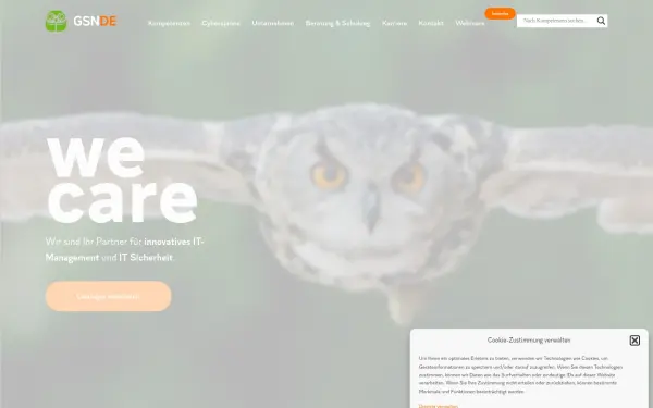 gsnde.com