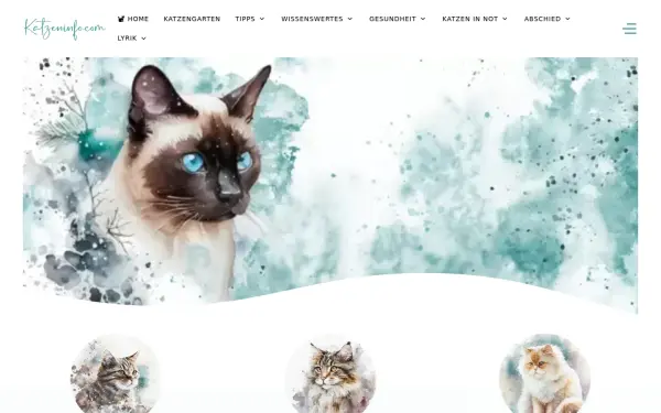 www.katzeninfo.com