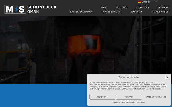 ms-schoenebeck.de