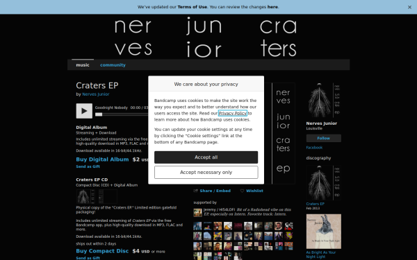 nervesjunior.bandcamp.com