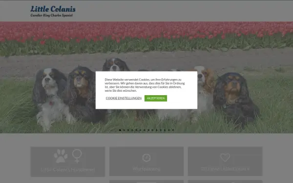 little-colanis.de