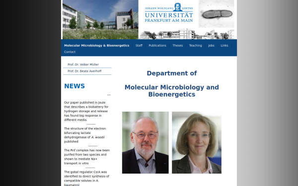 www.mikrobiologie-frankfurt.de