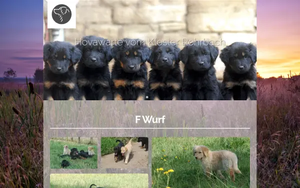 hovawarte-vom-kloster-rohrbach.de
