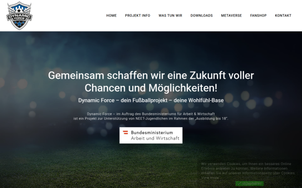 www.dynamicforce.at