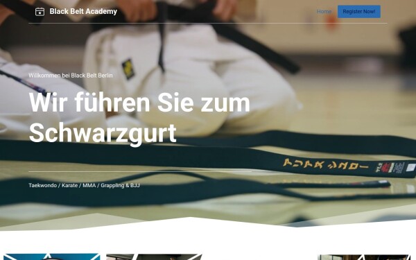 black-belt-academy.de
