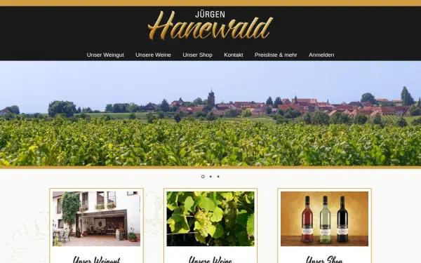 hanewald-dackenheim.de