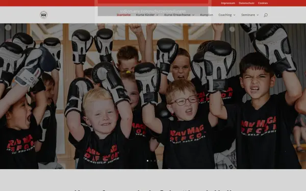 kampfsportschule-sha.de