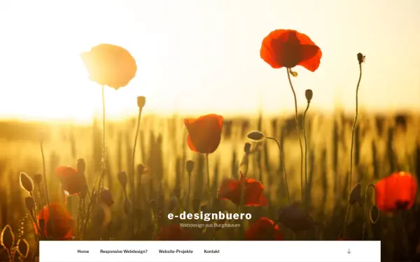 e-designbuero.de