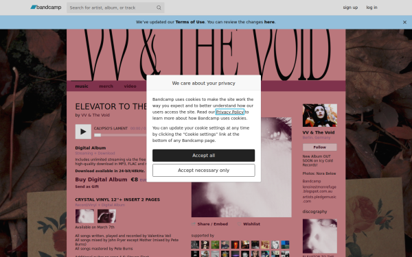 vvandthevoid.bandcamp.com