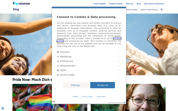 blog.govolunteer.com