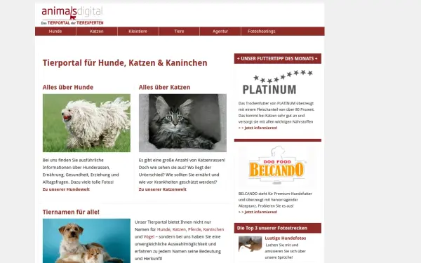 www.animals-digital.de