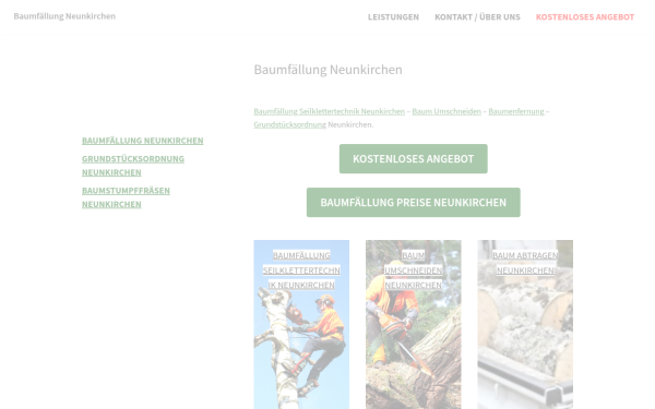 baumdienst-neunkirchen.at