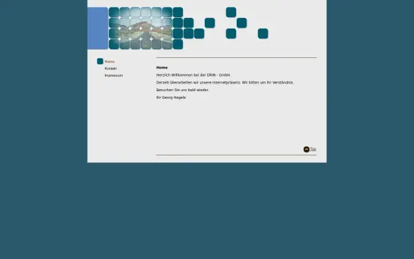 drin-gmbh.de