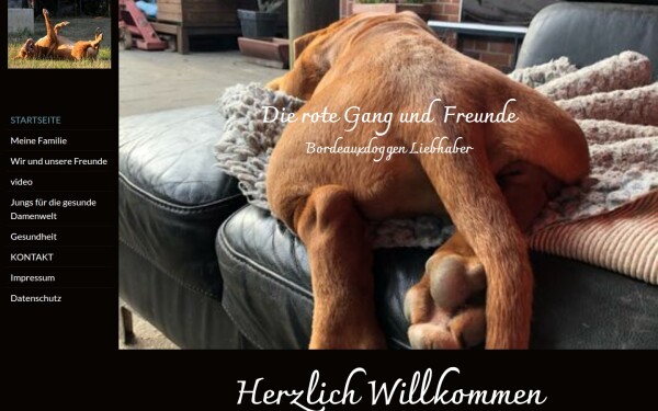 bordeauxdogge-germany.de