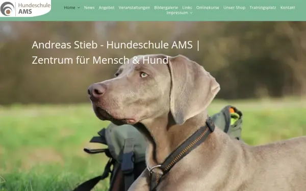 www.hundeschule-ams.de