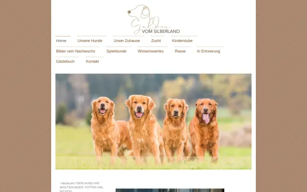 www.goldenvomsilberland.de