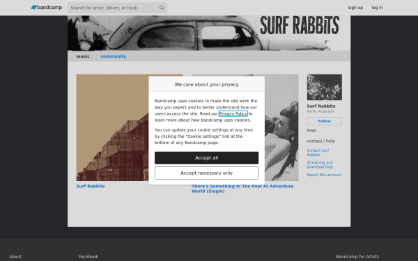surf-rabbits.bandcamp.com