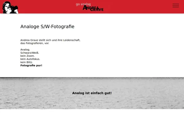 go-analog.de