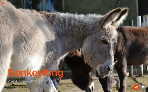 www.donkeyking.de
