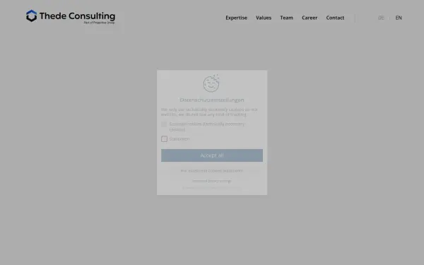 thede-consulting.com