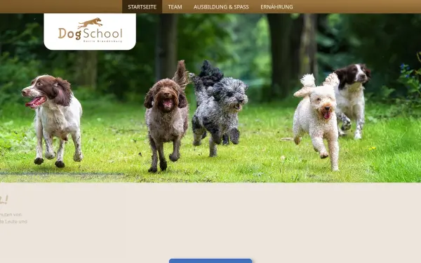 dogschool-bb.de
