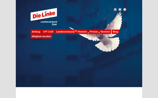 dielinkesaar.de