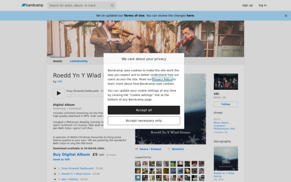 vriband.bandcamp.com