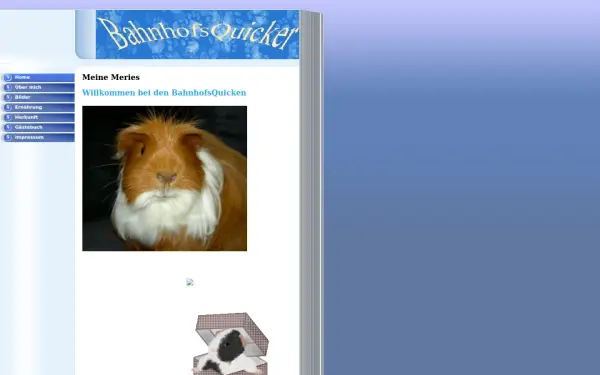 bahnhofsquicker.de