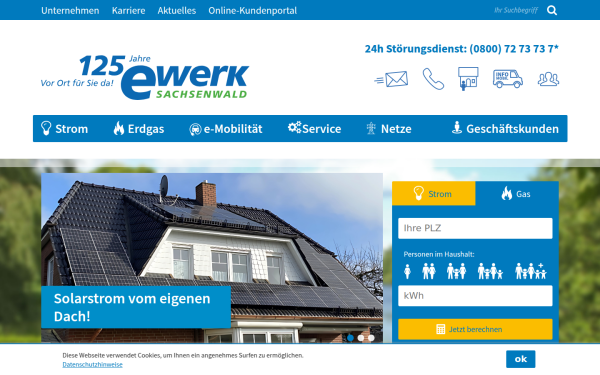 www.ewerk-sachsenwald.de