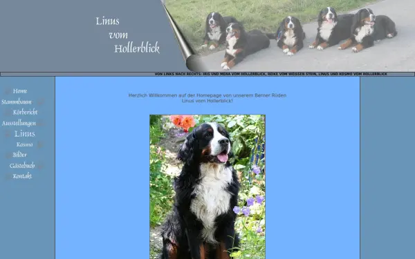 linus-vom-hollerblick.de