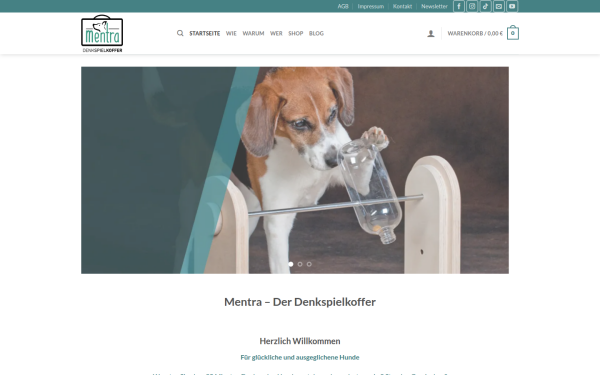 mentra.de