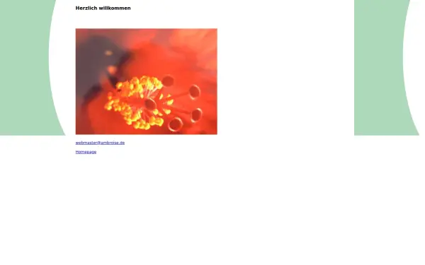 ambroise.de