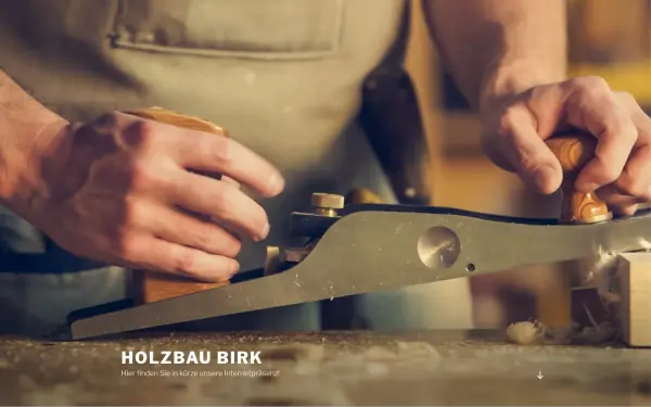 holzbau-birk.de