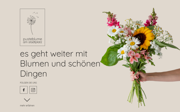 pusteblume-stadtplatz.de