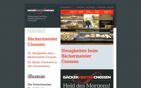 davidcnossen.de