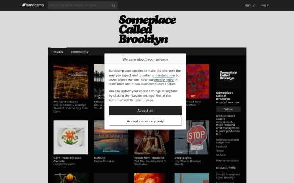 someplacecalledbrooklyn.bandcamp.com