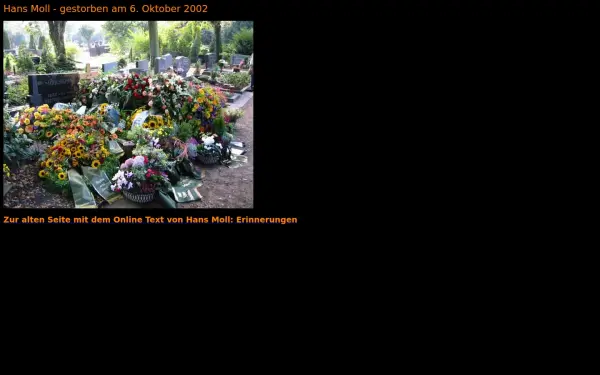 hansmoll.de