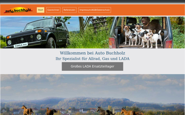 www.auto-buchholz.de