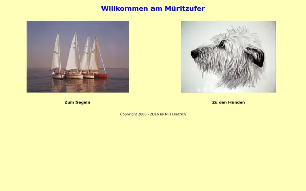 dietrichrechlin.de