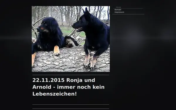 www.ohmist.de
