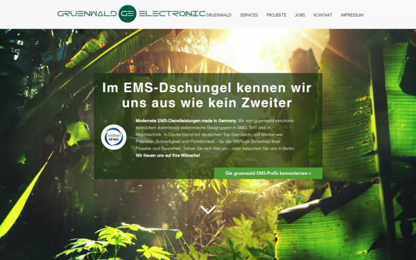 www.gruenwald-electronic.de