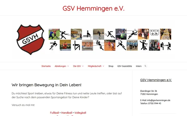 gsvhemmingen.de