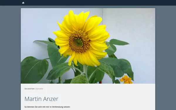 martin-anzer.de