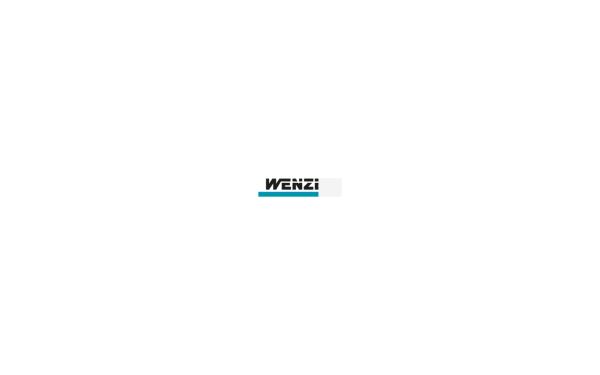 www.wenzel-group.com