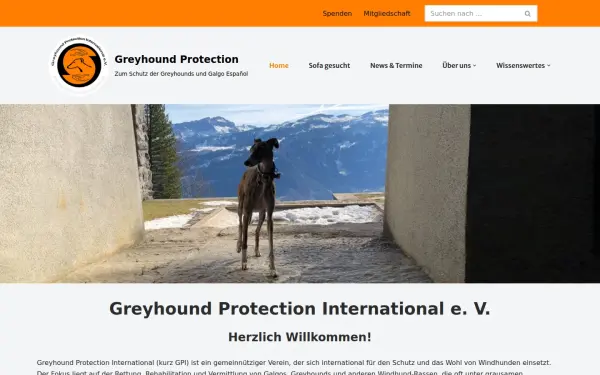www.greyhoundprotection.de