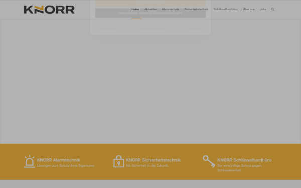 knorr-sicherheit.de