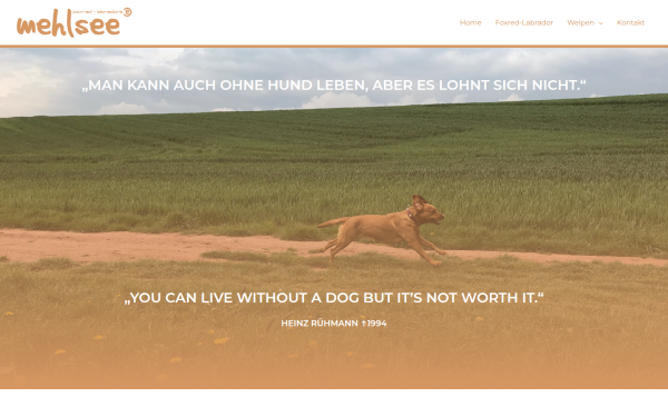 foxred-labrador.mehlsee.de