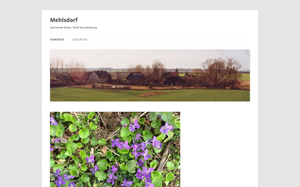 www.mehlsdorf.de