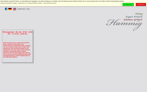 hammig-boehmfloetenbau.de
