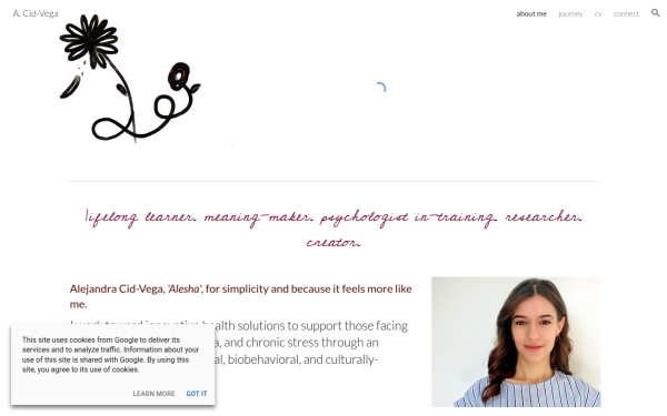 www.acidvega.com